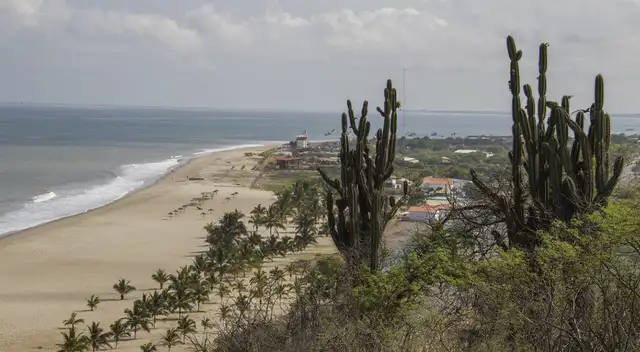 Illesca es refugio de 23 especies y es considerado un paraíso costero Illesca es refugio de 23 especies y es considerado un paraíso costero