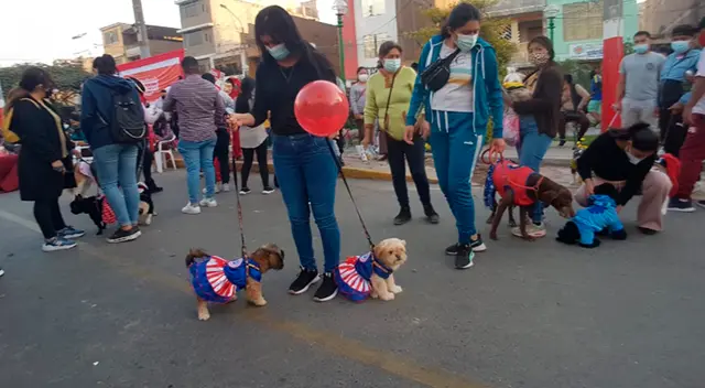 Animalitos podrán ser desparasitados una vez al mes de modo gratuito.