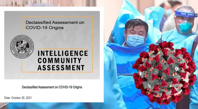 Inteligencia encontró que el SARS-CoV-2 “probablemente surgió e infectó a los humanos a través de una exposición inicial a pequeña escala que ocurrió a más tardar en noviembre de 2019”. Inteligencia encontró que el SARS-CoV-2 “probablemente surgió e infectó a los humanos a través de una exposición inicial a pequeña escala que ocurrió a más tardar en noviembre de 2019”.