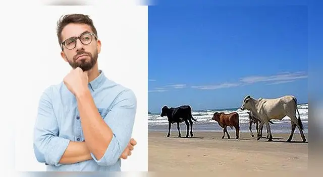 Pocos han podido dar con la respuesta de este reto visual. Pocos han podido dar con la respuesta de este reto visual.