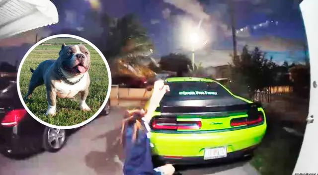 La comerciante sale por la puerta y no duda en batallar con los ladrones con una ametralladora.