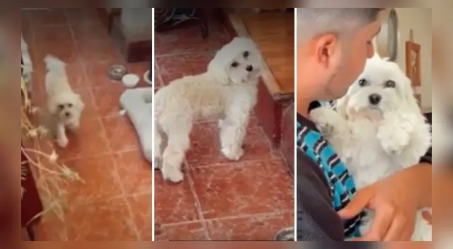 La escena no ha tardado en volverse viral. La escena no ha tardado en volverse viral.