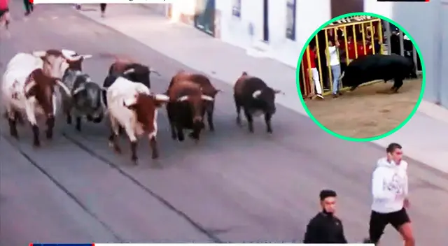 La víctima intentaba protegerse en una de las vallas del recinto cuando fue embestido por el toro. La víctima intentaba protegerse en una de las vallas del recinto cuando fue embestido por el toro.