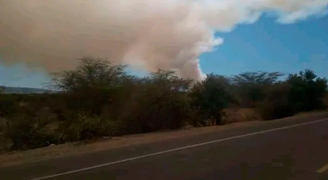 La compañía, perteneciente al Grupo Romero, descartó que el incendio haya sido provocado intensionalmente por ellos, producto de la quema de broza de caña en el fundo de La Huaca.