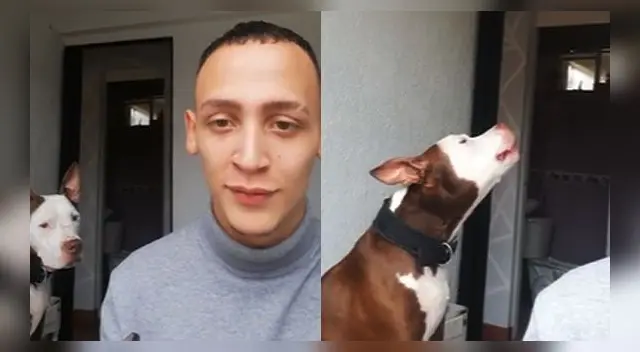 El hecho es viral en las redes sociales. El hecho es viral en las redes sociales.