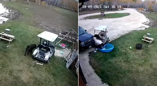 El video muestra a Titán sentado en el piso del carro y presionando accidentalmente el pedal.