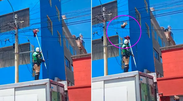 El policía logró rescatar al felino.