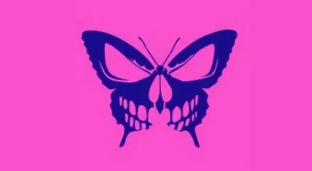 En esta imagen hay una mariposa y una calavera. ¿Qué ves primero? (Foto: MDZ Online)
