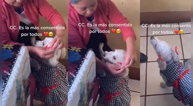 La emotiva escena es viral en las redes sociales. La emotiva escena es viral en las redes sociales.