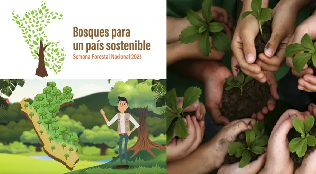 El lema de este año es