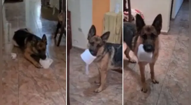 La escena es viral en las redes sociales. La escena es viral en las redes sociales.