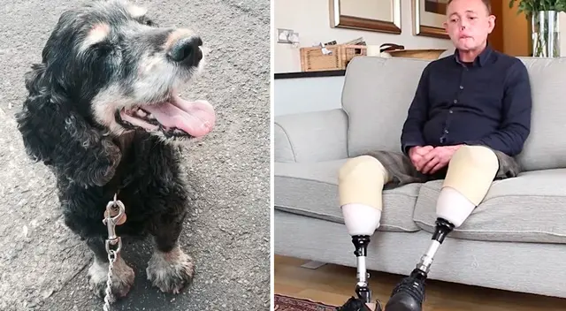 La mordedura del perro provocó una infección letal, a tal punto de dejar a su amo inválido.