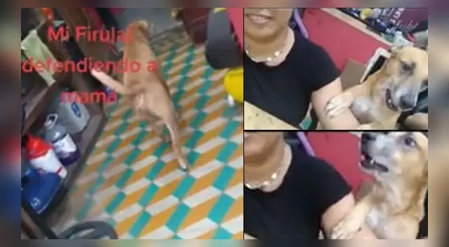 El hecho se ha vuelto viral en las redes sociales. El hecho se ha vuelto viral en las redes sociales.