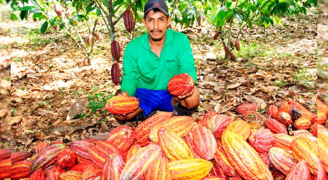 Feria con productos de Oxapampa se realizarán en la Plazuela del Teatro Municipal de Lima.