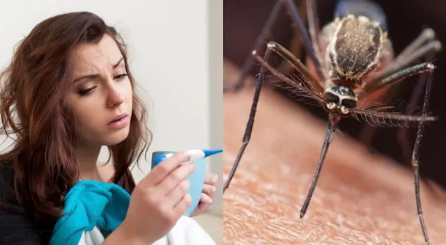 Esta enfermedad es prevenible y curable. Esta enfermedad es prevenible y curable.