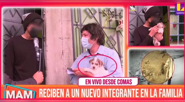 Mujeres al Mando sorprende a la familia de RunRun con una nueva mascota.