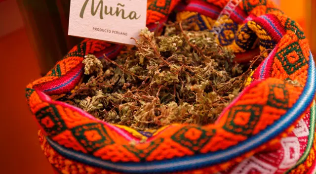 Beneficios de la muña para la gastritis. Beneficios de la muña para la gastritis.