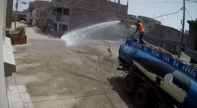 Peculiar video del perro se hizo viral en las redes sociales. Peculiar video del perro se hizo viral en las redes sociales.