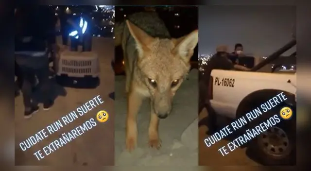 La emotiva escena se volvió tendencia en las redes sociales.