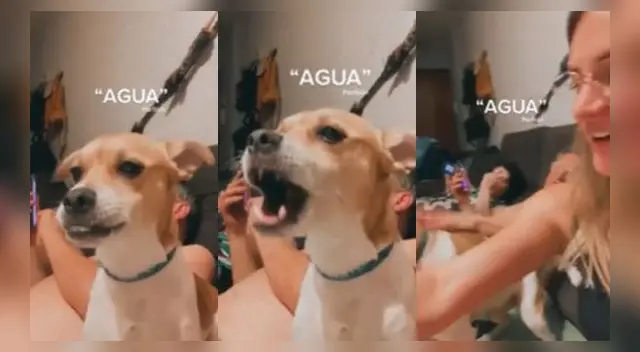 El hecho es viral en las redes sociales.