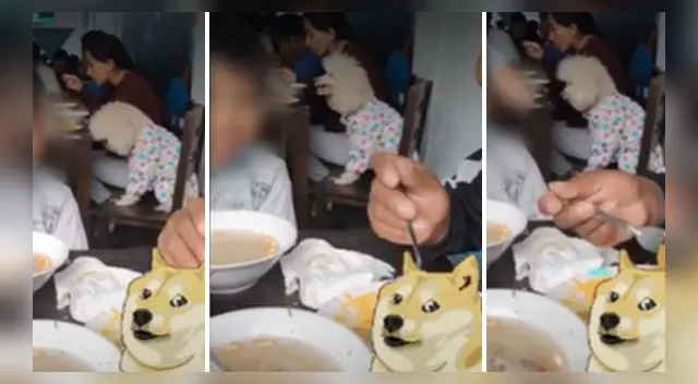 La escena es viral en las redes sociales