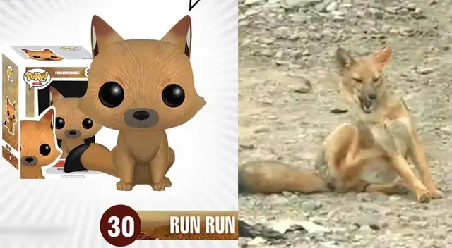 El zorrito Run Run es toda una sensación en las redes sociales. El zorrito Run Run es toda una sensación en las redes sociales.