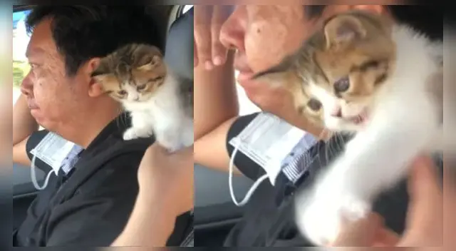 La singular escena se volvió viral en las redes. La singular escena se volvió viral en las redes.