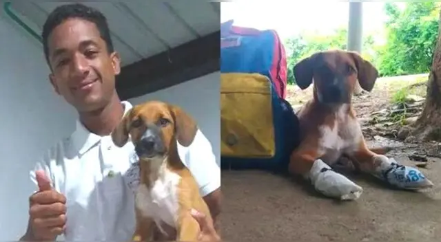 La emotiva historia del joven que caminó 60 días con su perrita de regreso a Venezuela.