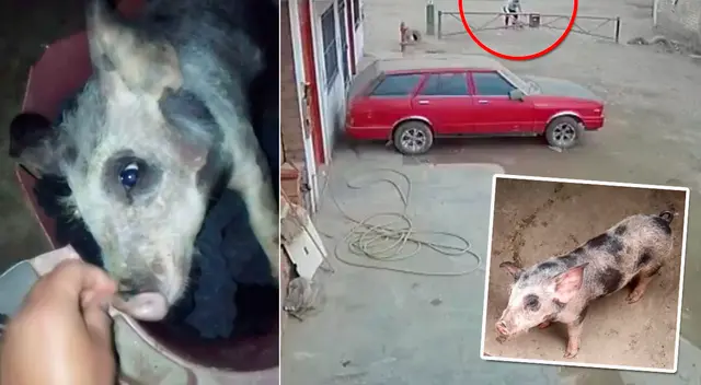 Robo ocurrió el pasado 12 de noviembre en San Martín de Porres. Robo ocurrió el pasado 12 de noviembre en San Martín de Porres.