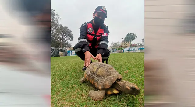 Personal de serenazgo rescató al indefenso animal.
