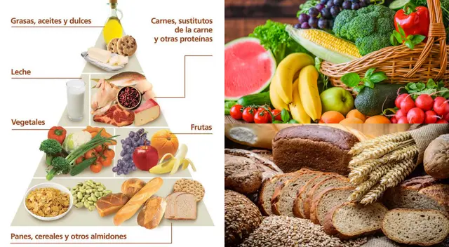 Estos alimentos aportan fibra y nos dan energía. Estos alimentos aportan fibra y nos dan energía.