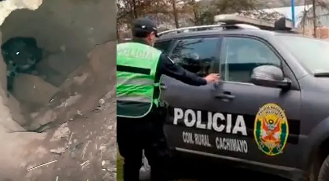 Sujeto que enterró vivos a perritos podría ir a la cárcel. Sujeto que enterró vivos a perritos podría ir a la cárcel.