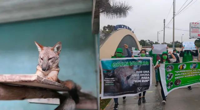 Realizaron segunda vigilia por Run Run