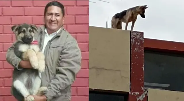 Vladimir Cerrón habría abandonado a su mascota