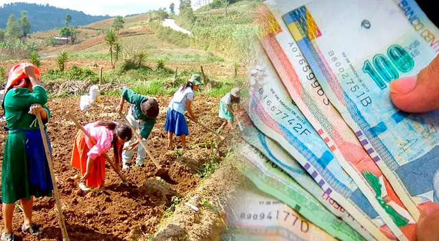 Ejecutivo anuncia bono entre 350 y 1300 soles para agricultores Ejecutivo anuncia bono entre 350 y 1300 soles para agricultores