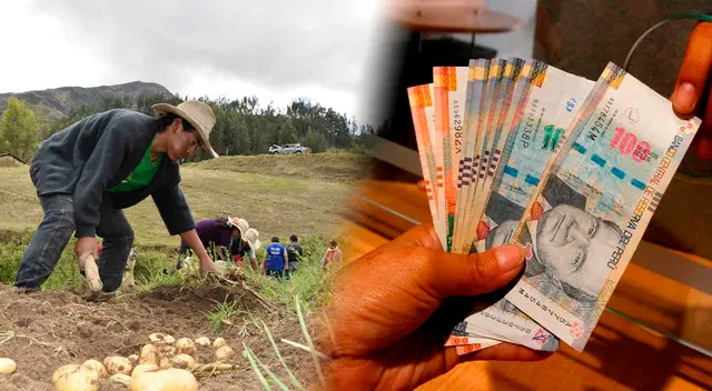 Conoce AQUÍ los requisitos del nuevo bono para agricultores Conoce AQUÍ los requisitos del nuevo bono para agricultores