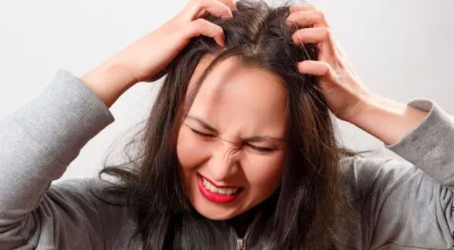 Significado de soñar con piojos Significado de soñar con piojos