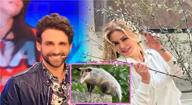 Rodrigo González hizo hilarante comparación entre Gisela Valcárcel y las mucas.