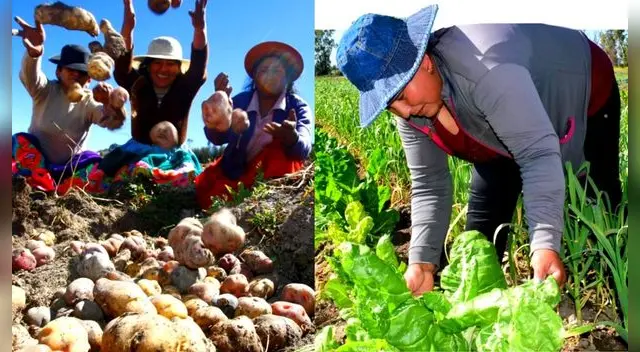 El gobierno anunció un nueva subvención económica para la agricultura.