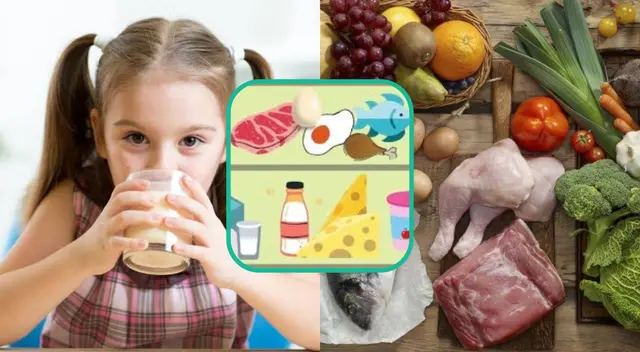 Los lácteos son importantes para nuestro organismo, ya que aportan calcio y proteínas.