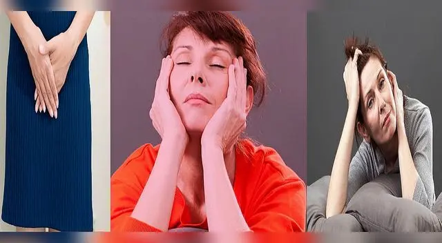 La menopausia es un proceso natural por el que pasaremos todas las mujeres.