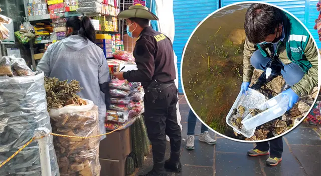 Entidad pidió no comprar productos elaborados con esta especie. Entidad pidió no comprar productos elaborados con esta especie.