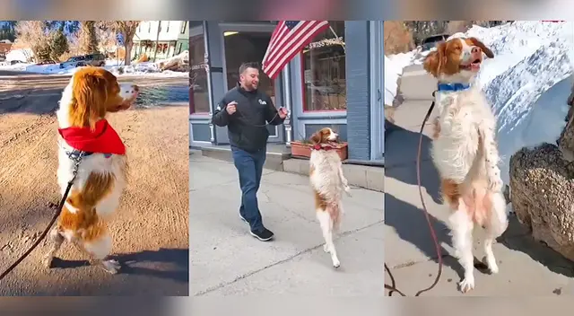 Dexter se ha convertido en una especie de estrella de las redes sociales con 634.6K seguidores en TikTok.