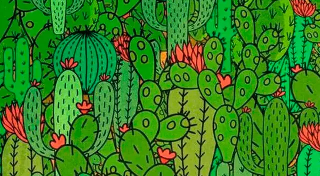 Reto visual nivel dios Reto visual nivel dios