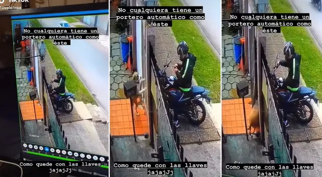 Perrito es sensación en redes sociales por abrir la puerta a sus dueños parándose en dos patitas.