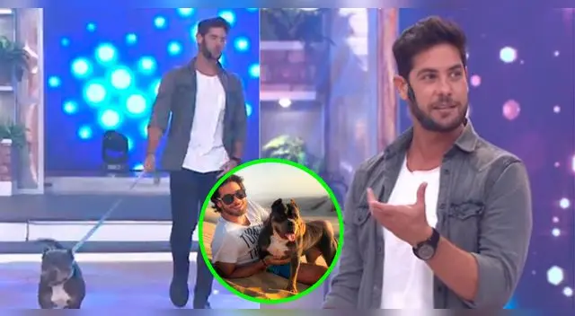 Andrés Wiese se mostró feliz por haber sido recibido con su engreída. Andrés Wiese se mostró feliz por haber sido recibido con su engreída.