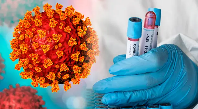 La cepa despertó preocupación entre los especialistas de Sudáfrica.