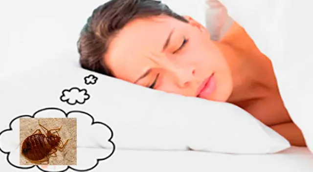 significado de soñar con pulgas