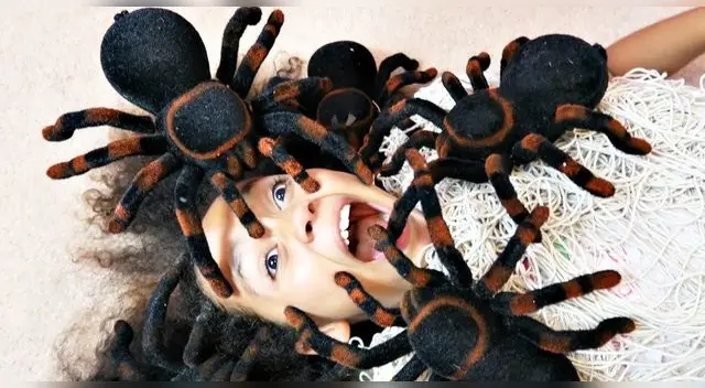 ¿Qué significa soñar con arañas que te pican? ¿Cómo lo interpreto? ¿Qué significa soñar con arañas que te pican? ¿Cómo lo interpreto?