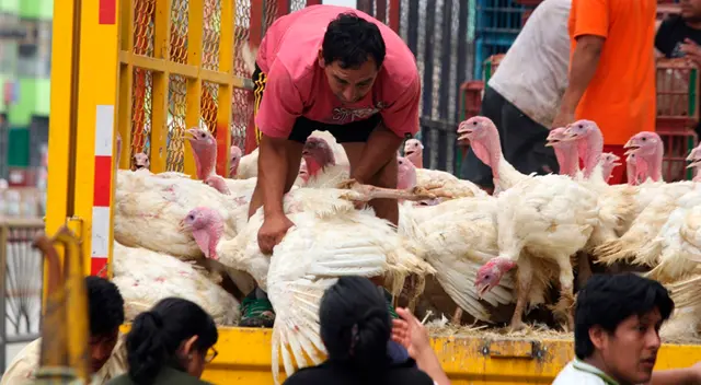Animal doméstico brillará por su ausencia en muchas mesas de los hogares peruanos.